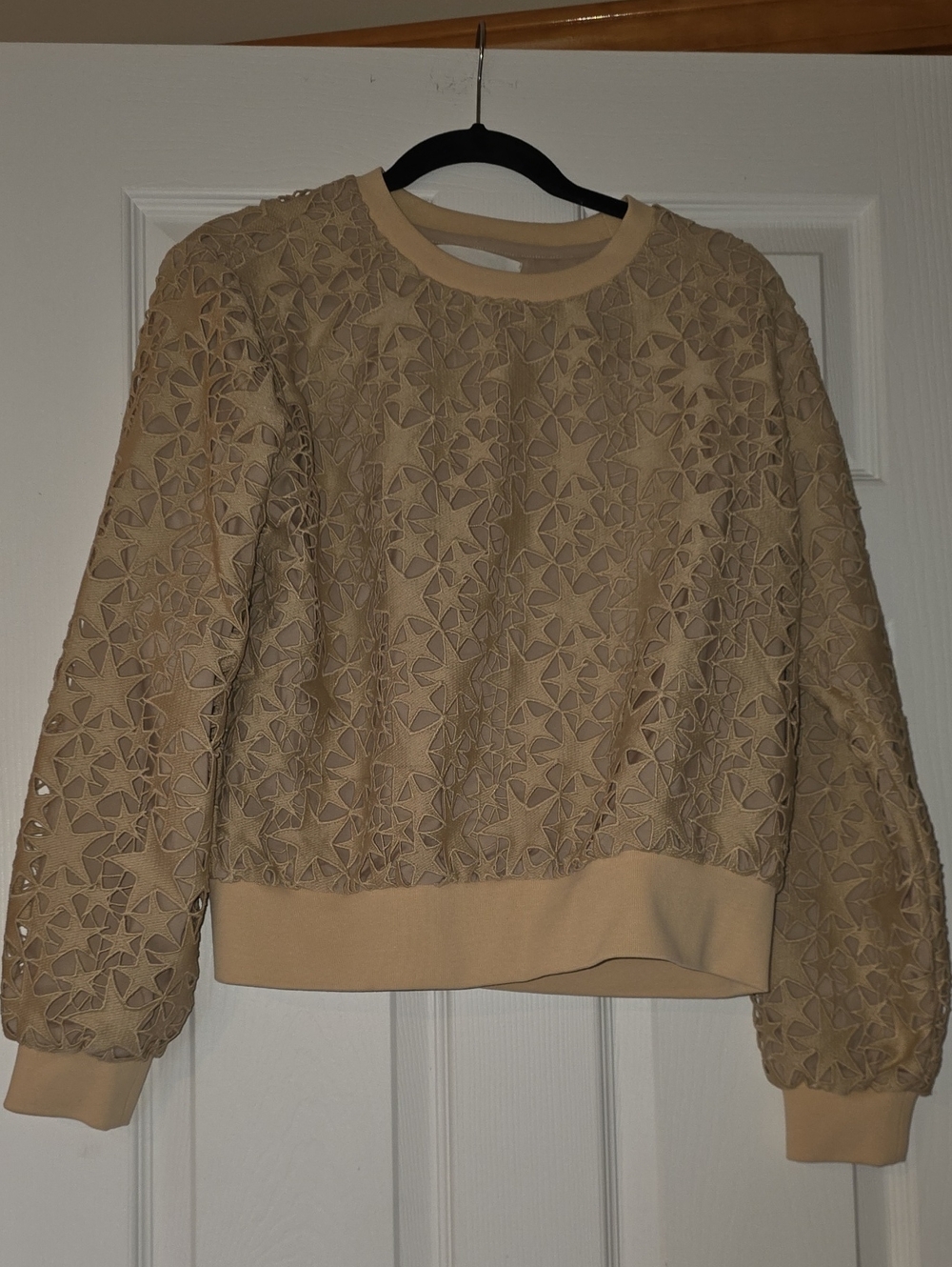 CHRLDR Beige Lace-Overlay Crewneck Sweatshirt